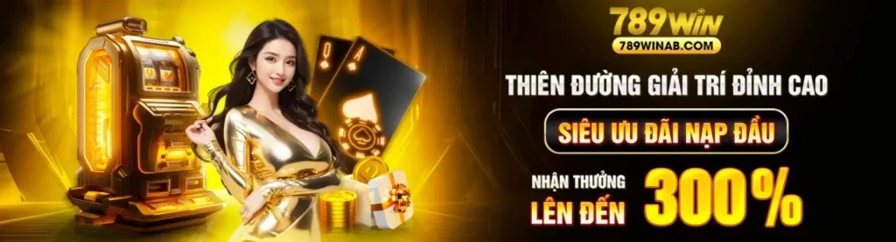Hình ảnh chủ đạo Câu hỏi thường gặp về tải B789